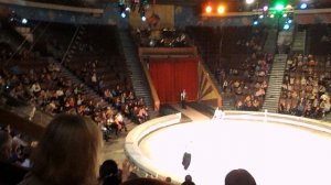 Омский цирк. Видео канала "Мой Петербург".