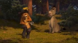 Кот и осел в своих телех