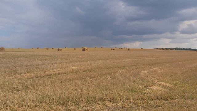 Мирная Беларусь // прогулка // Nadik TV смотреть онлайн