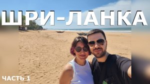 Шри-Ланка, часть 1. Лучше Гоа? Слишком милые черепашки и старинный форт