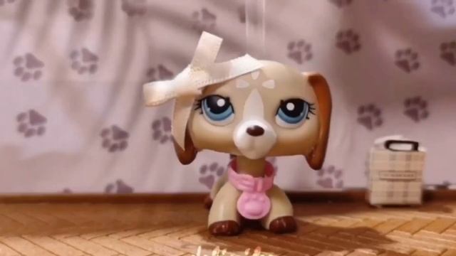 LPS: Part 5 + edit | for delinika