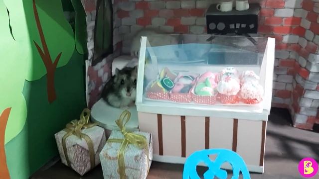 ГДЕ ПОСЕТИТЕЛИ? ТРИ ХОМЯЧКА ИЩУТ ГОСТЕЙ