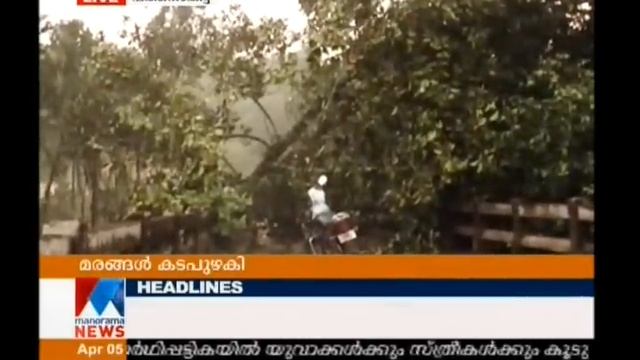 Heavy rain causes huge damages in different parts of Pathanamthitta | Manorama News