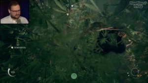 Начало ЭВОЛЮЦИИ Куплинова в Ancestors: The Humankind Odyssey