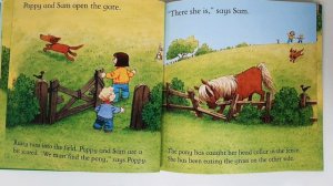 The New Pony. Usborne Farmyard Tales.