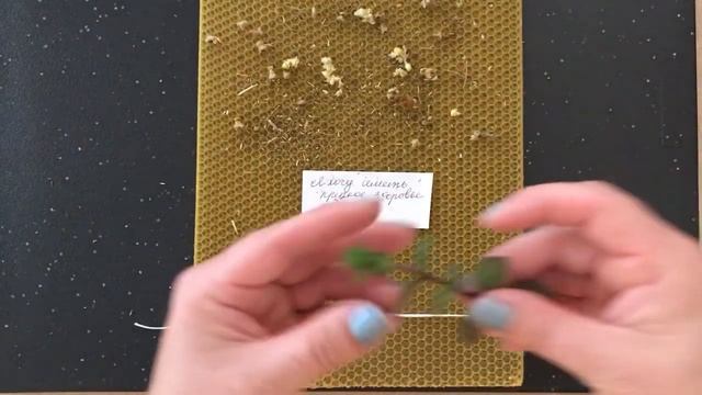 Программная Свеча на восстановление Энергии и Здоровья 🕯💚