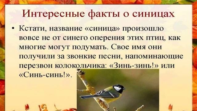 СИНИЧКИН ДЕНЬ