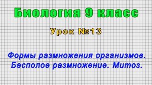 Биология 9 класс (Урок№13 - Формы размножения организмов. Бесполое размножение. Митоз.)