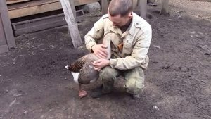 Ты меня уважаешь