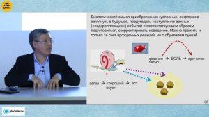 Вячеслав Дубынин: "Мозг и обучение" (Лекция 24)
