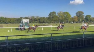 #Vikend. Otlar poygasi