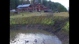 Великий Устюг. Усадьба Арлазорова. Гуси делятся на группировки.