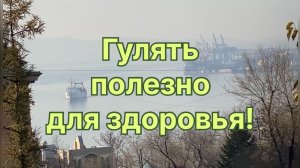 Утренняя прогулка навстречу солнцу. Теплая осень. Гулять полезно. 12 ноября 2024 г.