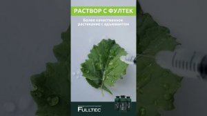 Опыт на листьях рапса. Улучшаем качество опрыскивания с адъювантом Фултек