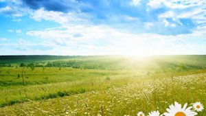 Run to My Rescue- Shogun feat. Emma Lock (SIGNUM ReMix)