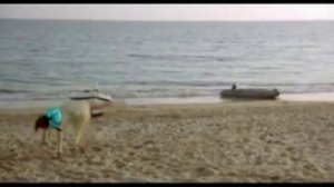 Ирина Богушевская_Ключи в твоих руках.mp4