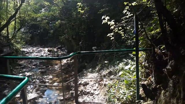 Прогулки в реликтовых местах. ТревелБлог Апраксина Лада