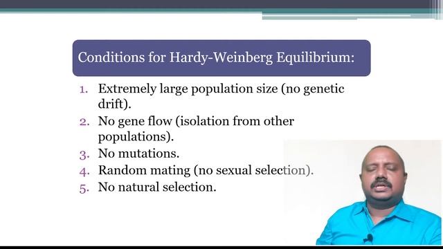 The Process of Evolution смотреть онлайн