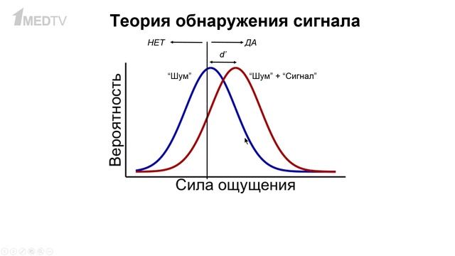 «Зрительная память: как мы запоминаем и опознаем тысячи объектов?». Гость: Уточкин И.С.