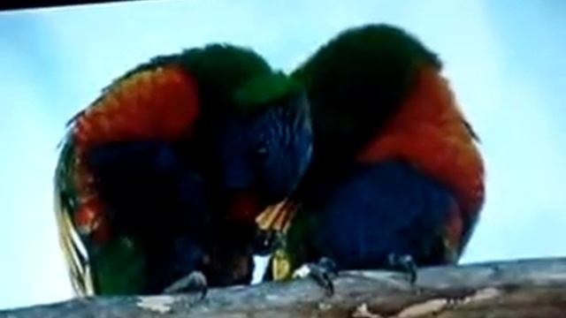 Николай Ковров(Nick) - Если ты со мной смотреть онлайн