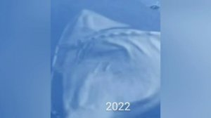 El gran maja evolution 8