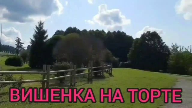 ПОЕХАЛИ В БЕРЛИН ПОЖРАТЬ  ANYANASTYA LIFE.  ОБЗОР.