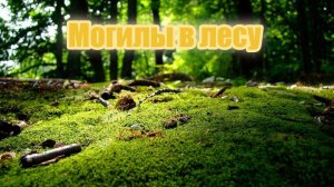 Могилы в лесу