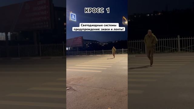 КРОСС 1 - умный пешеходный переход! Распознавание пешеходов и предупреждение водителей! кросс1.рф