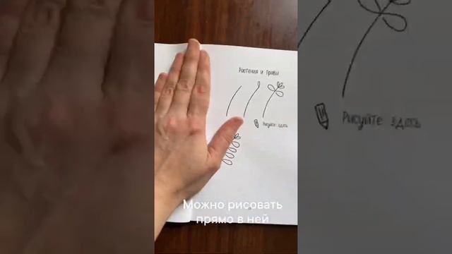 Рисуем простые иллюстрации прямо в книге  #рисование #пошаговка #рисованиеснуля #рисуемпросто