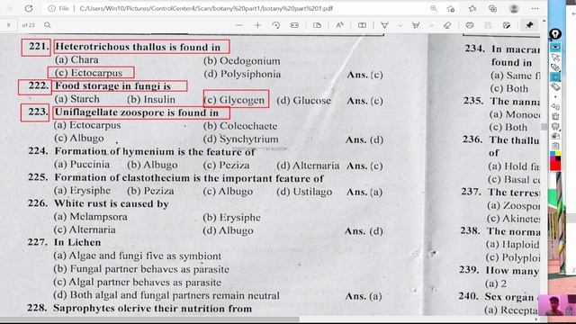 Uniflagellate zoospore is found in