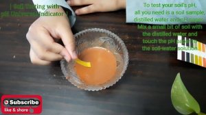 "DIY Soil Testing with Universal Indicator Paper | Gardening pH Test at Home"