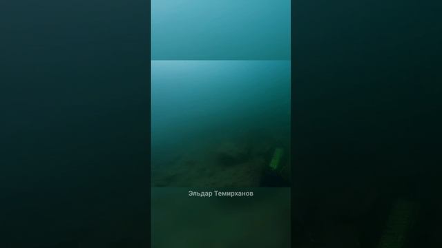 Форель и сазана - Подводная охота в горных краях
