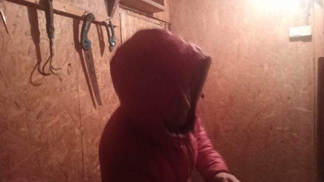 Зимовье. Куры зимуют, привезли корма.