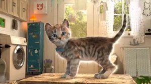 Приключения Маленького Котёнка  Мультик игра для детей  Симулятор котика