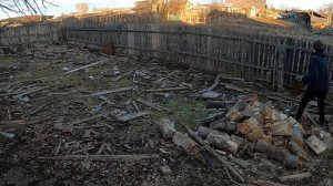 Всего один день после уборочной...