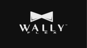 Wally Flex - лучшее решение ко встроенному пылесосу Vacumaid