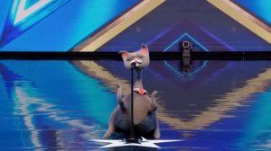 TOP 10 BEST Singing Auditions on BGT 2023!