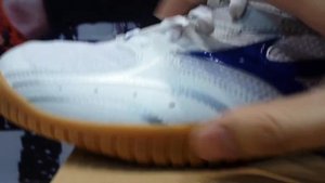 20150121 Mizuno 2015 SS CROSSMATCH PLIO RX2 81GA143027 Table-Tennis Sneakers Review