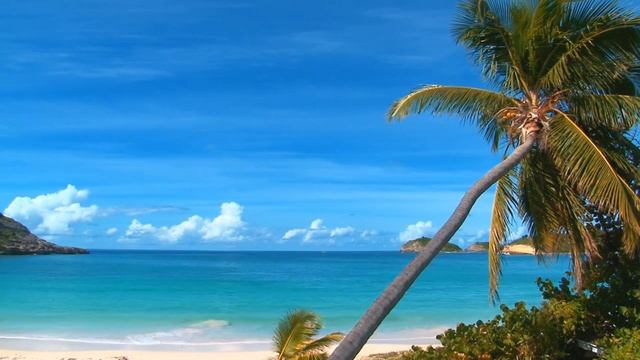 The best relax and calm music | Сборник лучшей расслабляющей и спокойной музыки