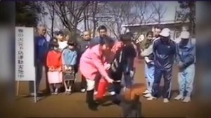 Смешные видео про людей