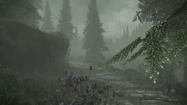 Skyrim Music & Ambience_ Walking Across Skyrim - Falkreath To Hunter's Rest _ Ambient Music АСМР