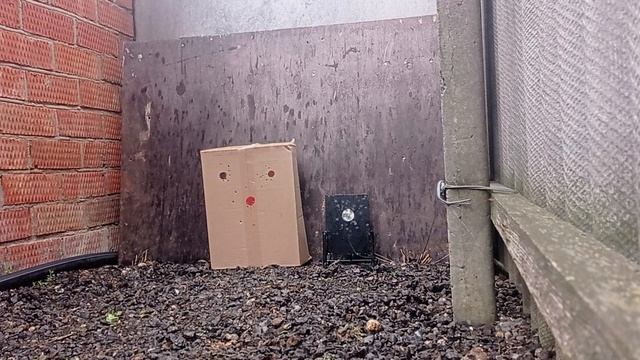 🔥 обзор stoeger x10. пристрелка 🔥 смотреть онлайн