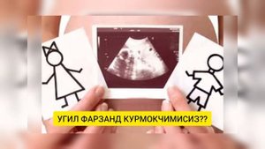 УГИЛ ФАРЗАНД КУРИШ СИРЛАРИ/БУ СИЗ УЧУН ФОЙДАЛИ