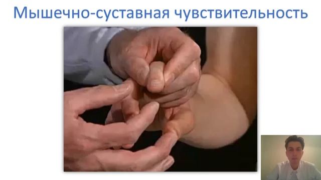 Методика неврологического осмотра. Чувствительность