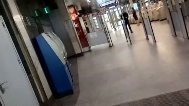 Звенигородская. Санкт-Петербург