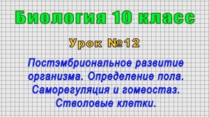 Биология 10 класс (Урок№12 - Постэмбриональное развитие организма. Опред. пола. Стволовые клетки.)