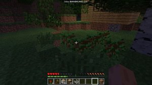 bandicam 2024-10-29 18-41-40-084