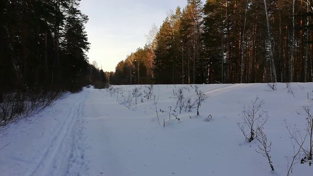 Уральский экспресс 27.01.2024 смотреть онлайн