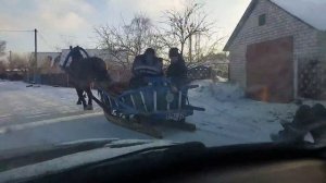 ЛОШАДИ/КАТАЕМСЯ НА САНЯХ ПОД НОВЫЙ ГОД!