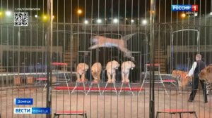 🎪 Спустя практически 3 года Донецкий цирк встречает жителей Республики с программой «Империя львиц»